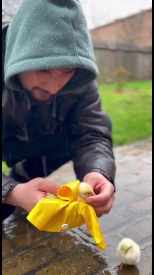 TikTok video thumbnail by vqar_048