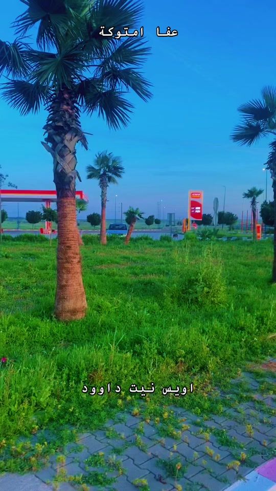TikTok video thumbnail by hamza.assrar