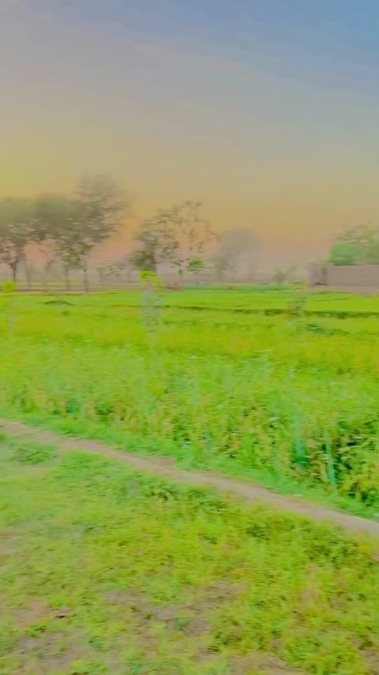 TikTok video thumbnail by nadeemgmani