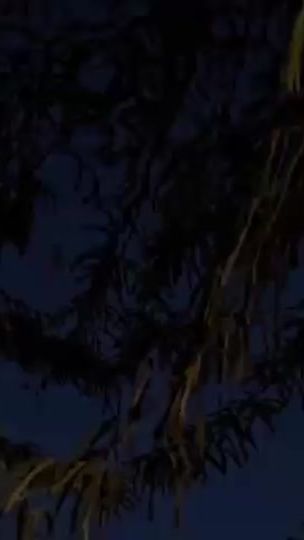 TikTok video thumbnail by mansr_1