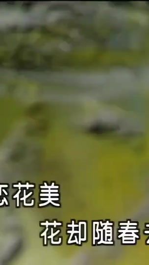 TikTok video thumbnail by lung0443