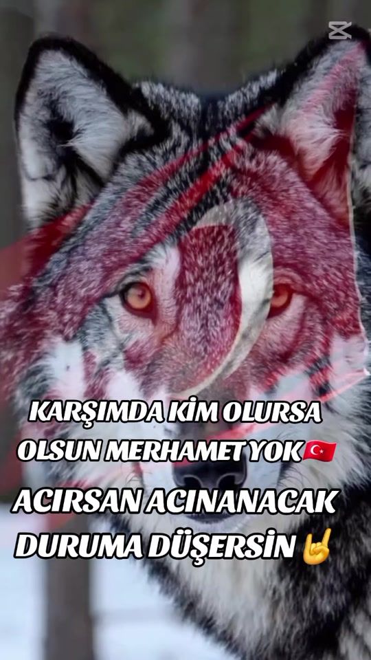 TikTok video thumbnail by asilkurt025