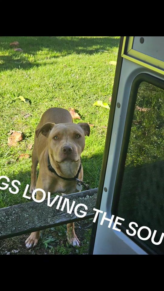 TikTok video thumbnail by ridersagainstmeth