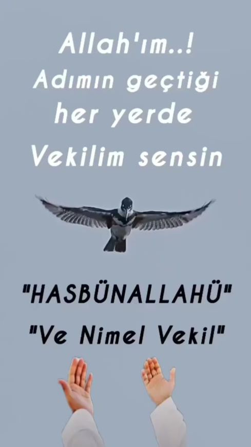 TikTok video thumbnail by obirsofi.65