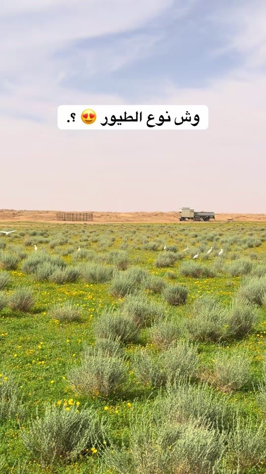 TikTok video thumbnail by kxk979