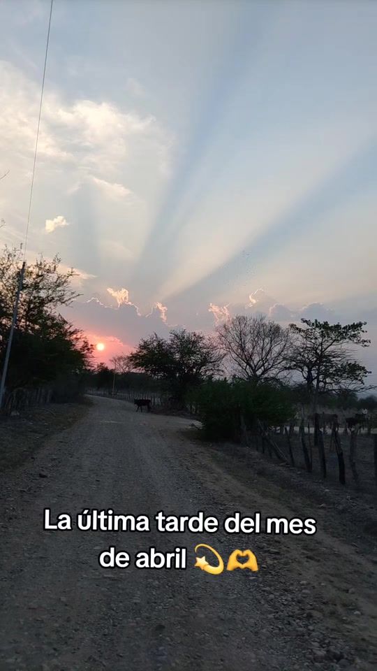 TikTok video thumbnail by esme_lemus2