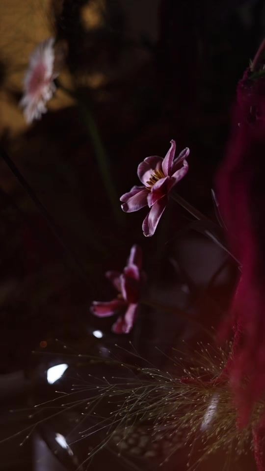 TikTok video thumbnail by mariamalfaraj
