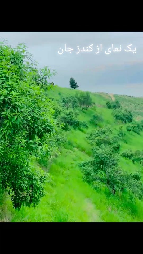 TikTok video thumbnail by mahbobullah.hamed