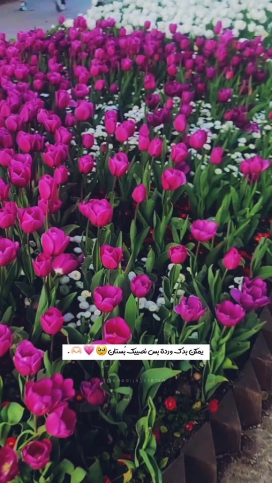 TikTok video thumbnail by khadija_stefan