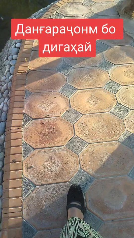 TikTok video thumbnail by zebo42939143798521