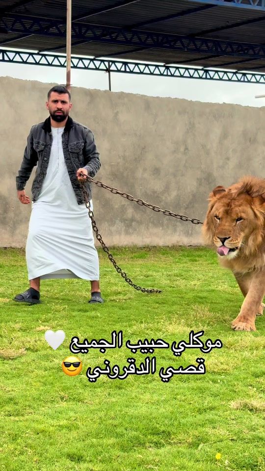 TikTok video thumbnail by abdoalsafra1