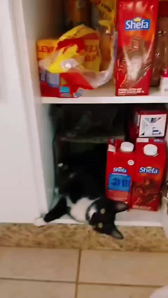 TikTok video thumbnail by carolinebarbarotti