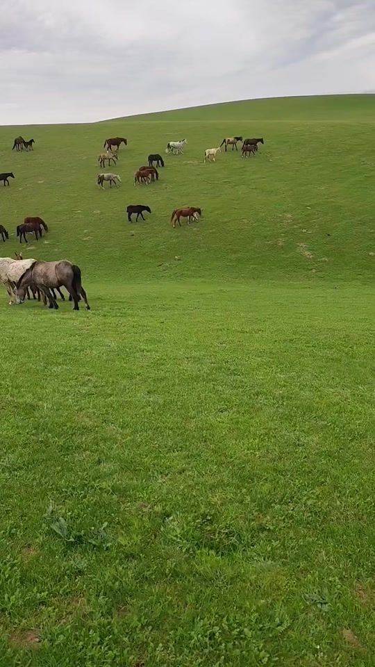 TikTok video thumbnail by granit_700