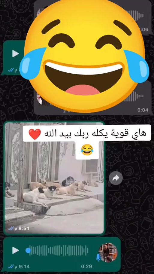 TikTok video thumbnail by t1.l1i