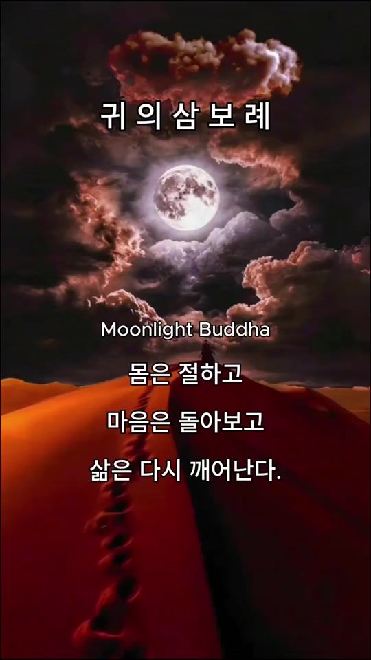 TikTok video thumbnail by moonlightbuddha