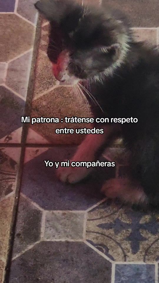 TikTok video thumbnail by cindyflores070