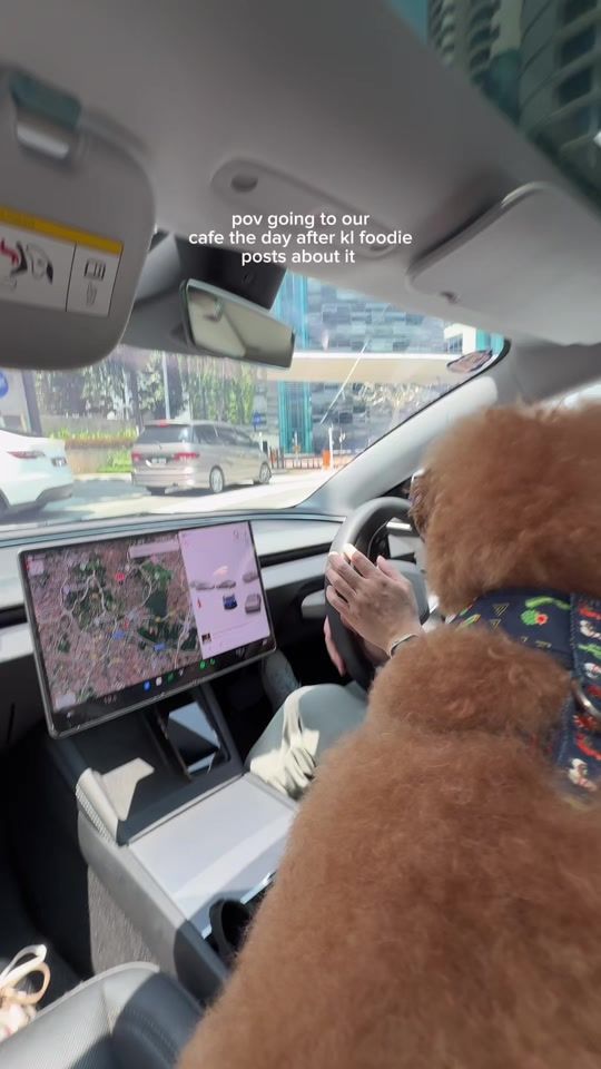 TikTok video thumbnail by 4feet9