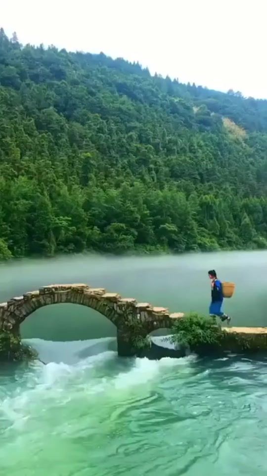 TikTok video thumbnail by yearof64