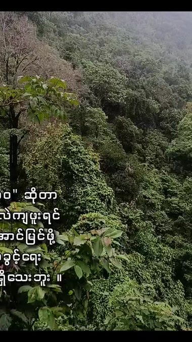TikTok video thumbnail by naing.lin.tun4461