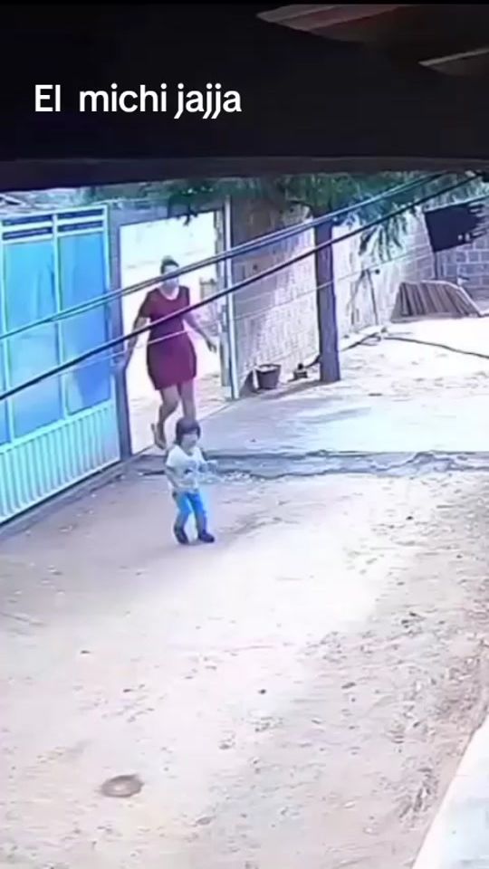 TikTok video thumbnail by norbertocaceres2026