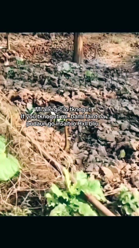 TikTok video thumbnail by ceo_of_captions