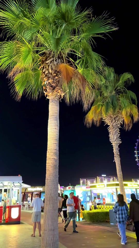 TikTok video thumbnail by uaefalcon11