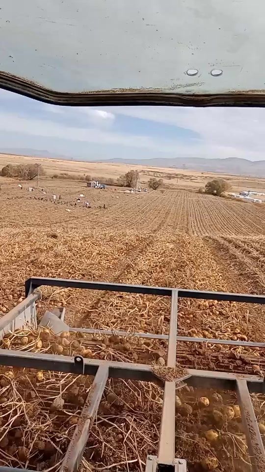 TikTok video thumbnail by azatmuhammet51