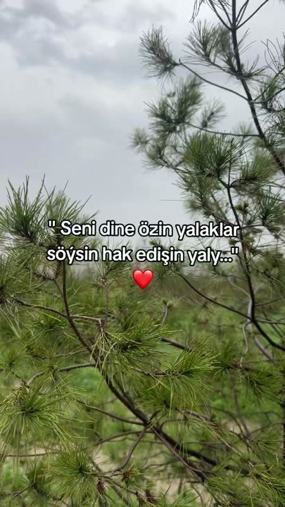 TikTok video thumbnail by rovsenoff_