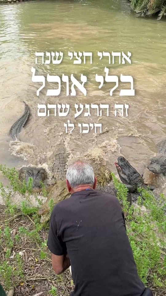 TikTok video thumbnail by hamat.gader