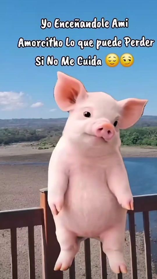 TikTok video thumbnail by aracelyvalladarez2