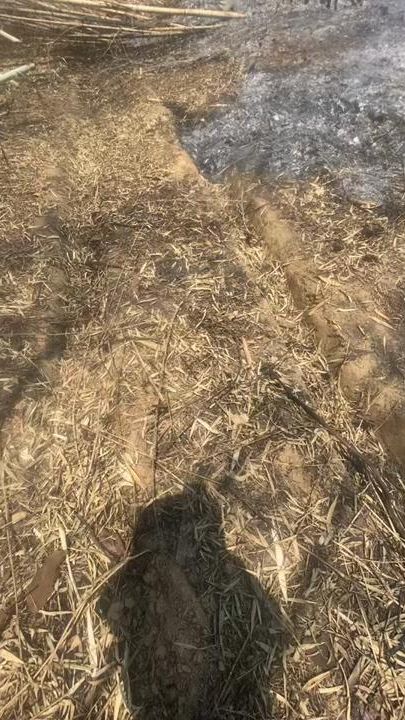 TikTok video thumbnail by m_a_y_74002