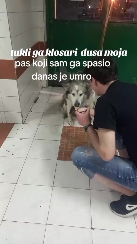 TikTok video thumbnail by bojan.seka