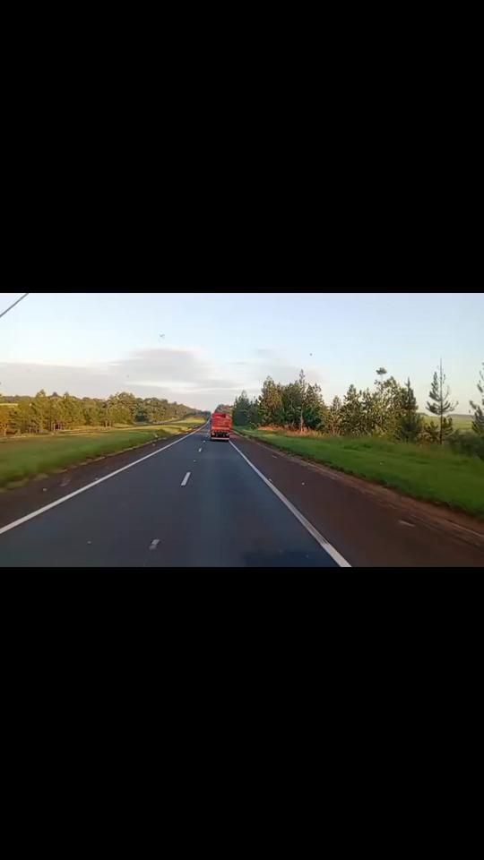 TikTok video thumbnail by adrian7841