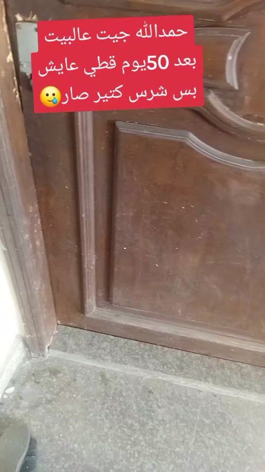 TikTok video thumbnail by roro771333