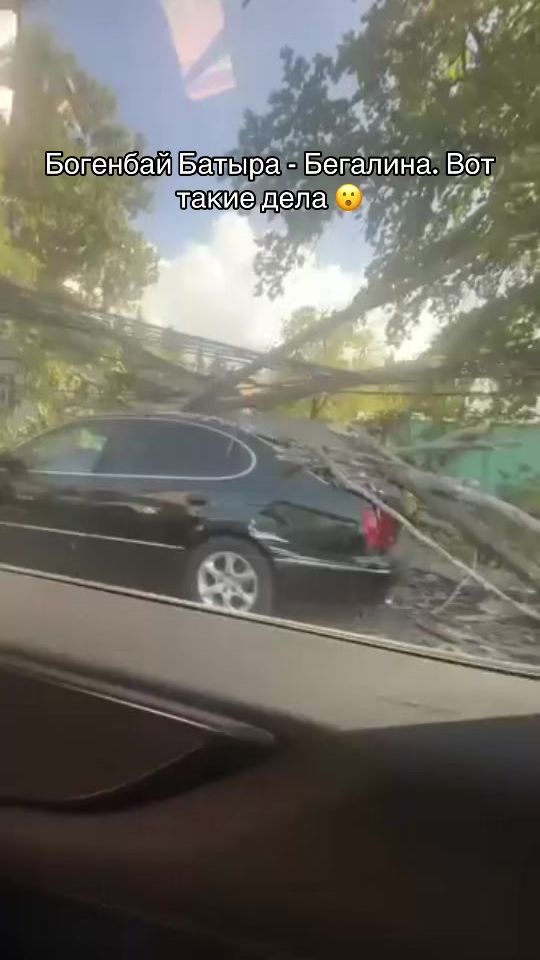 TikTok video thumbnail by almatinec_live
