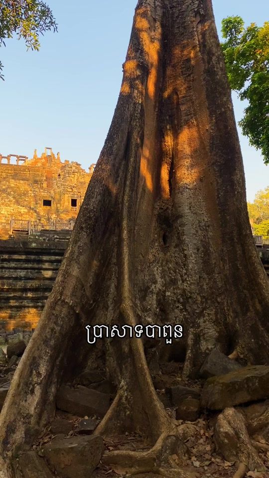 TikTok video thumbnail by phynaven