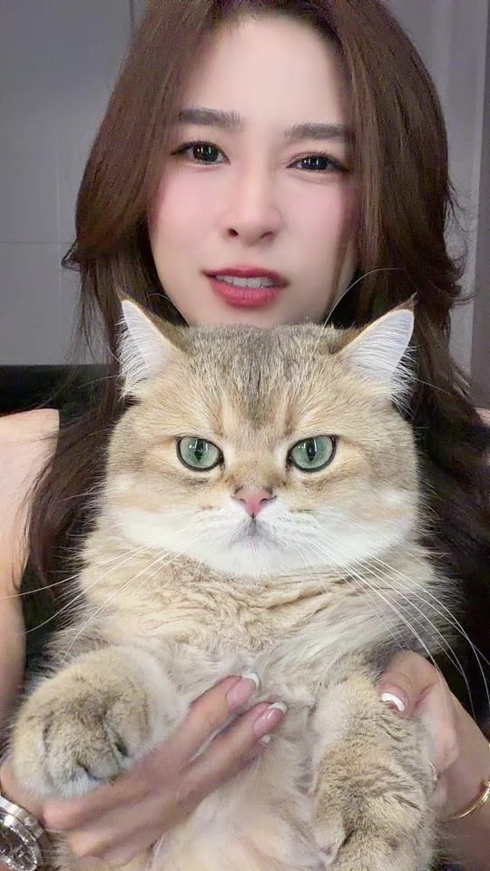 TikTok video thumbnail by porsche_paycho