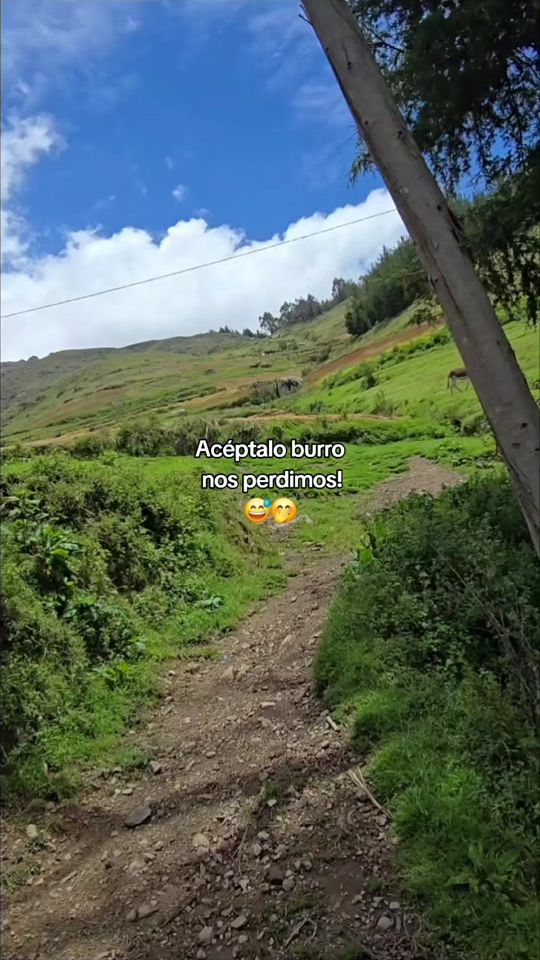TikTok video thumbnail by heidimercedes2