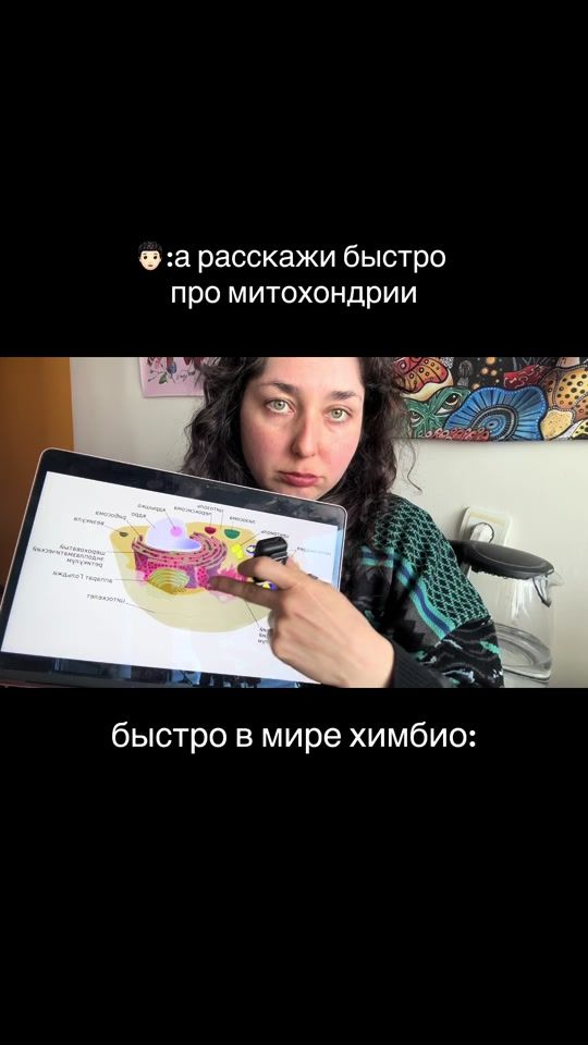 TikTok video thumbnail by borodadarwina