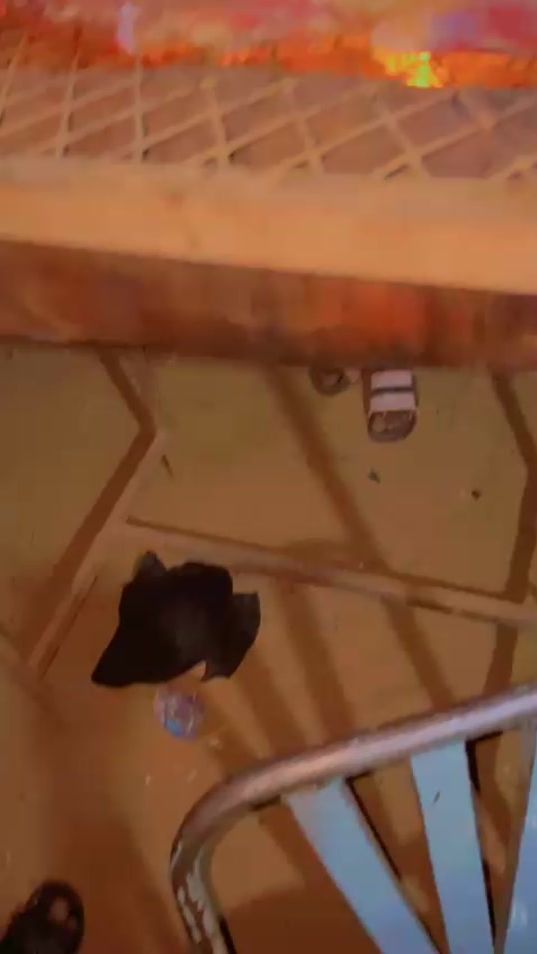 TikTok video thumbnail by koudou.cfa44
