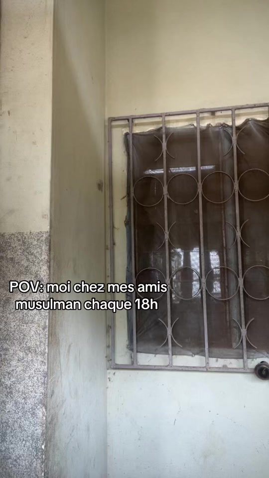 TikTok video thumbnail by larobe.jaune