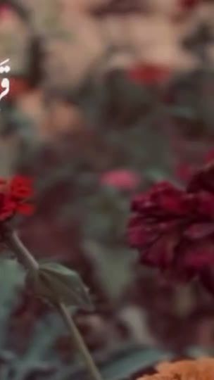 TikTok video thumbnail by 5un.l
