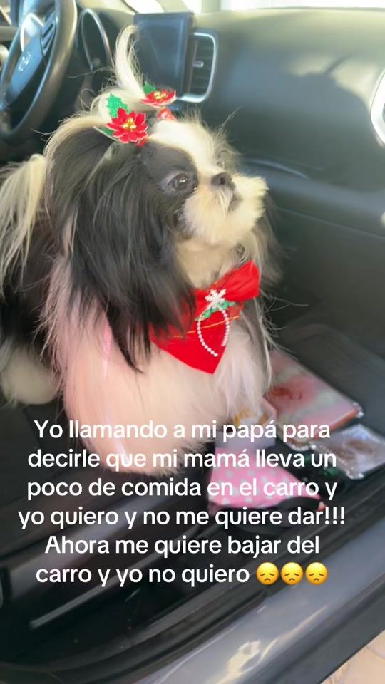 TikTok video thumbnail by kattyramirez15