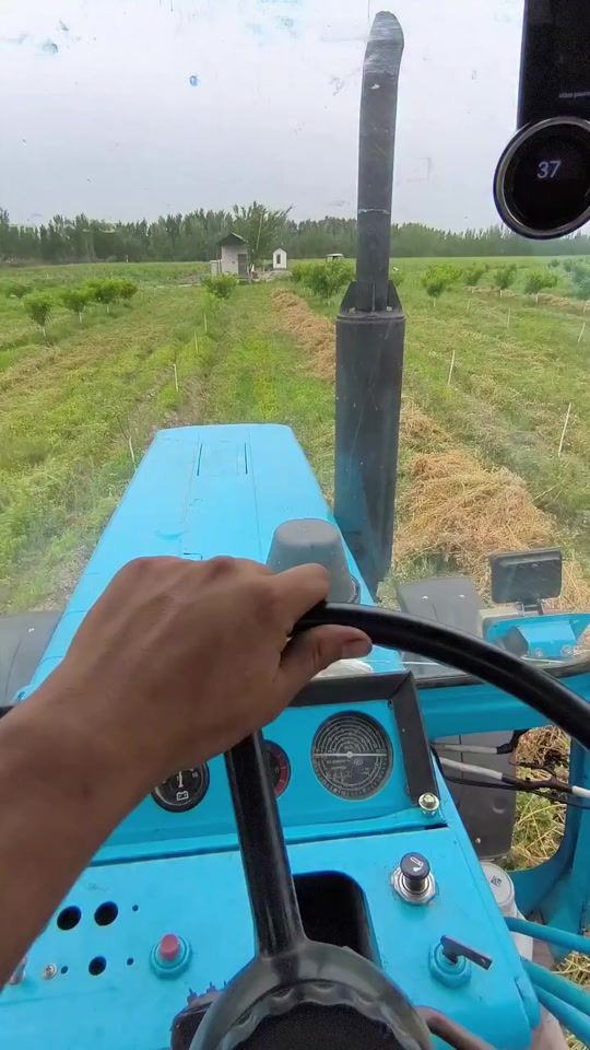 TikTok video thumbnail by isomiddin.abdiray2