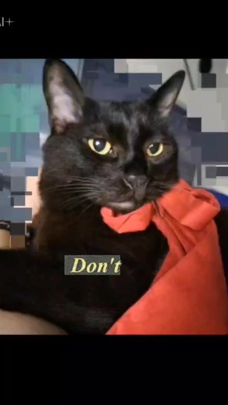 TikTok video thumbnail by user62s88tv8t0