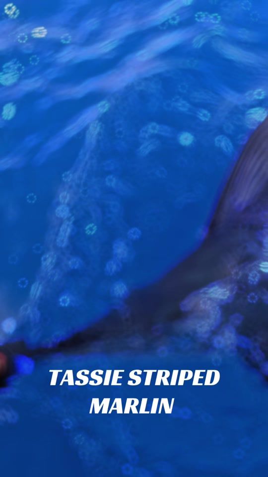 TikTok video thumbnail by ifishtv