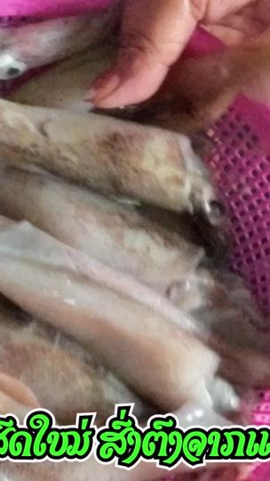 TikTok video thumbnail by inlaochannel