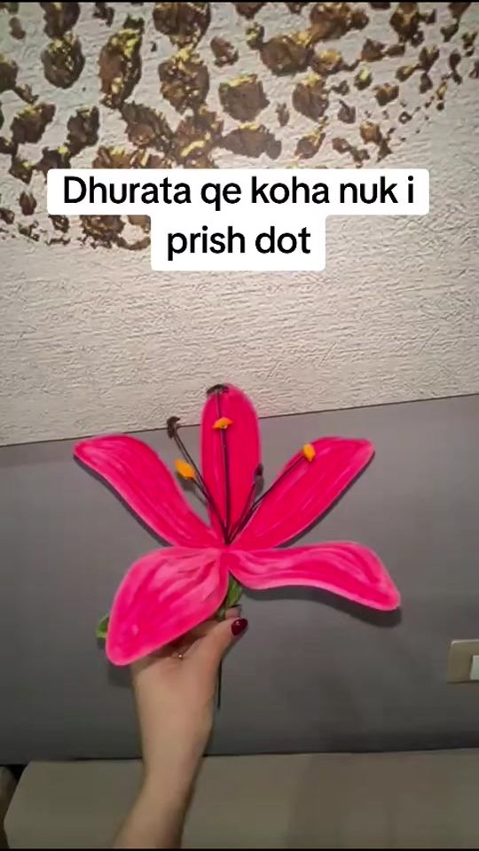 TikTok video thumbnail by nadasbloom