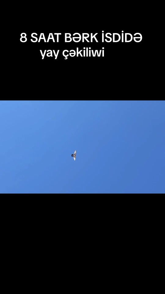 TikTok video thumbnail by ucanqus1nomre