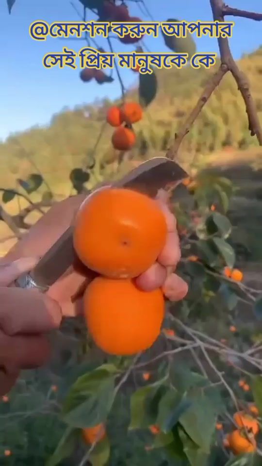 TikTok video thumbnail by .tik.arafat.901